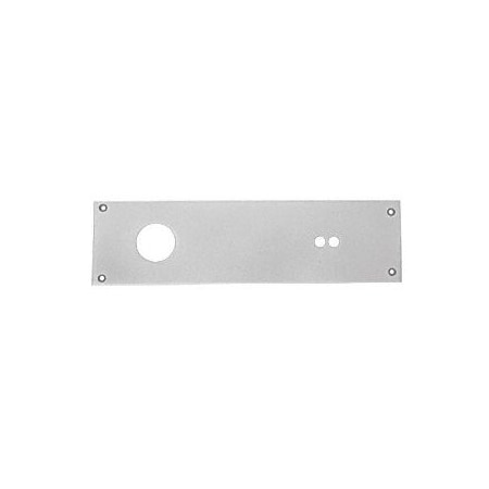 Jackson Aluminum 2 Valve Overhead Concealed Closer Cover Plate 20190628